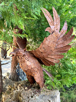 Eagle in the Aviary Garden