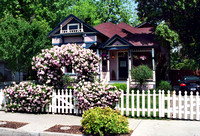 Our house with rose arbor in bloom